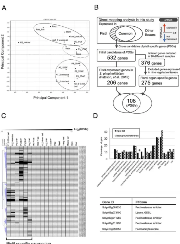 Fig 2. Identification of genes preferentially expressed in pistils based on the direct-mapping method