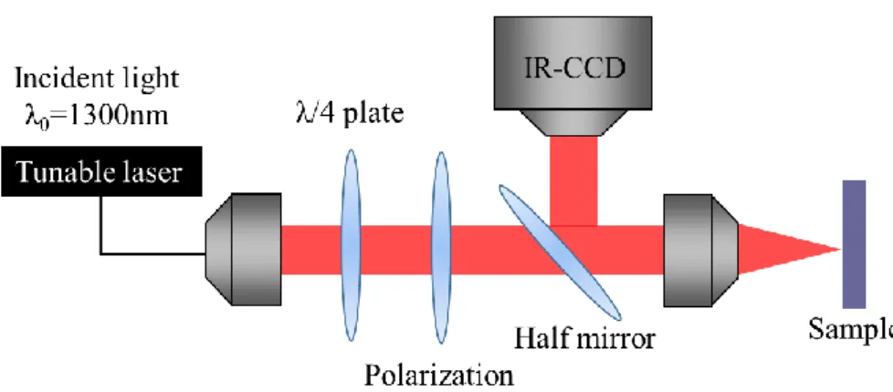 Fig. 3  Three-dimensional finite-difference time domain (3D-FDTD) model (