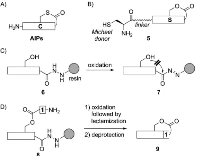 Fig. 1. Auto-inducing Peptide (AIP)-related Research Project That I Was Involved in at Prof