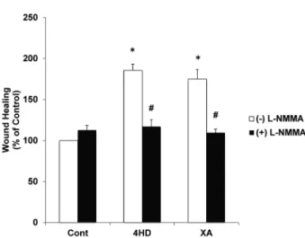 Fig. 5. 4HD and XA increase endothelial HO-1 protein expression. HO-1 expression levels in ECs were determined by western blotting analysis after treatment with 4HD or XA for 0, 3, 6, 12, and 24 h