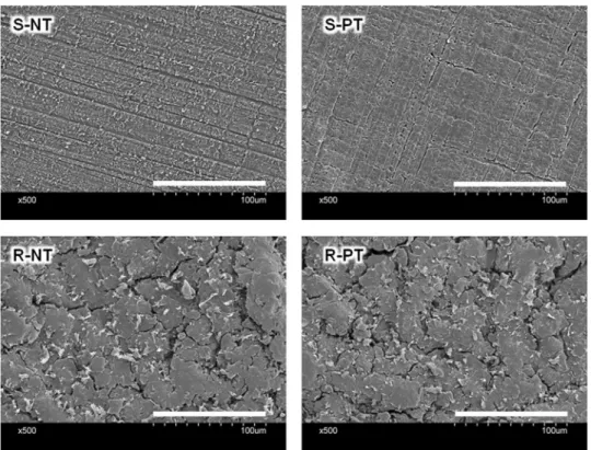 Figure 3.  Scanning electron microscopy (SEM) observation of the PEEK sample surface. S-NT: untreated  PEEK, S-PT: phosphorylated PEEK with smooth surface, R-NT: sandblasted PEEK, R-PT: phosphorylated  PEEK with sandblasted surface.