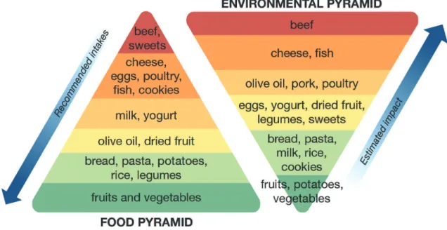 Fig. 1. This diagram represents a simplified version of the “Double Pyramid” (Barilla Center for Food and Nutrition, 2014), which compares foods ranked in order of recommended intakes for optimal health to foods ranked in order of estimated environmental i