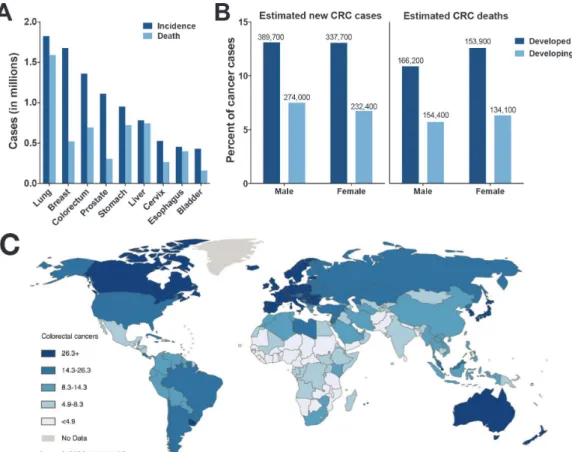 Fig. 2. Estimated number of cases for the most common cancers worldwide in 2012 (most recent data available)