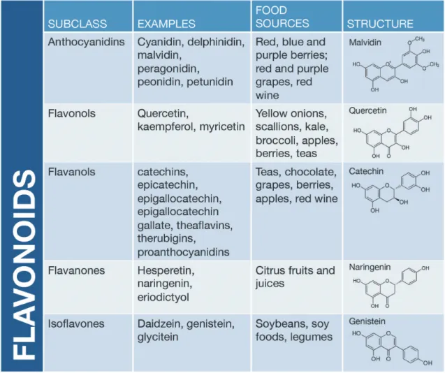 Fig. 3. Subclasses of dietary flavonoids, including anthocyanidins, flavonols, flavanols, flavanones and isoflavones, with example bioactives, some common food sources and a representative chemical  struc-ture for each subclass.