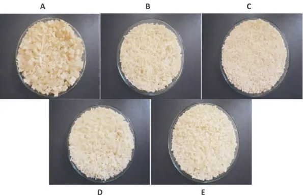 Fig. 2. Physical appearance of rice analog processed at different dough moisture contents and temperatures: A, 55% moisture, 90℃; B, 50% moisture, 90℃; C, 45% moisture, 90℃; D, 42% moisture, 90℃; D, 42% moisture, 85℃