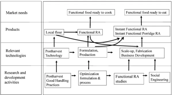 Fig. 5. Roadmap for development of a functional rice analog as vehicle for use in the food diver- diver-sification program.