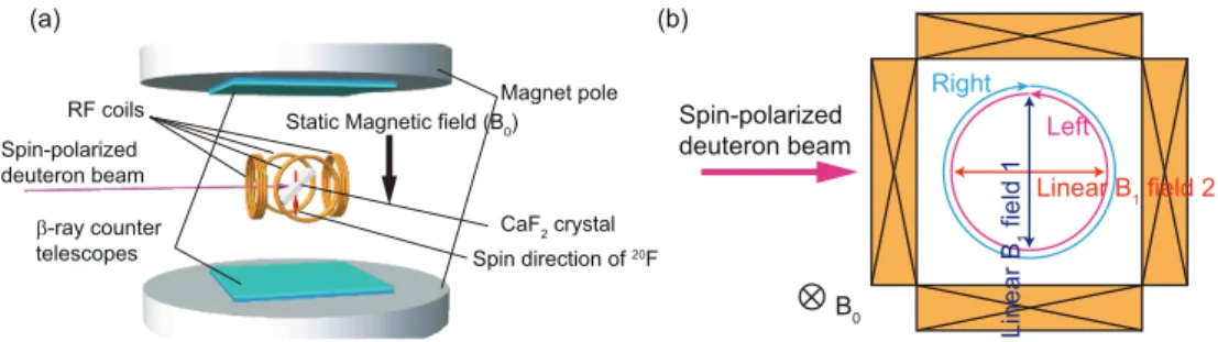 Fig. 1. (a) Schematic layout of the β -NMR apparatus, (b) Definition of RF magnetic fields