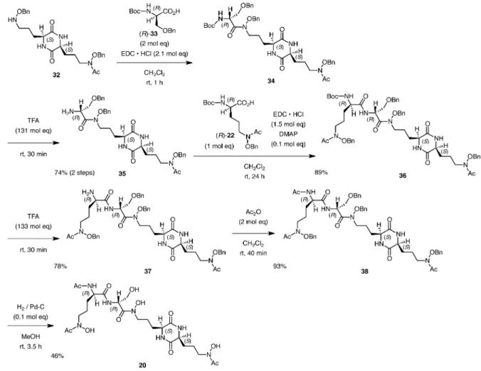 Table 3. Asymmetric Aldol Reaction of Hydroxyacetone (40) and p-Nitrobenzaldehyde (41) Catalyzed by DKPs (S,S)-39