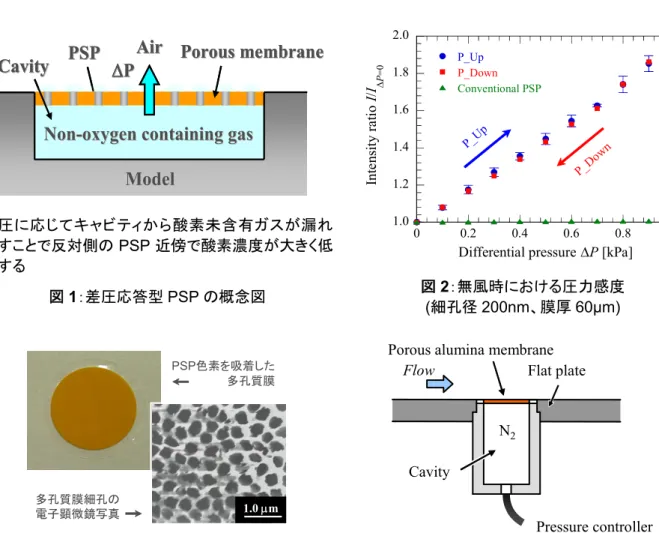 図 3：本実験で使用した多孔質膜サンプル(左図)と風洞試験における差圧応答型 PSP の概念図(右図) 