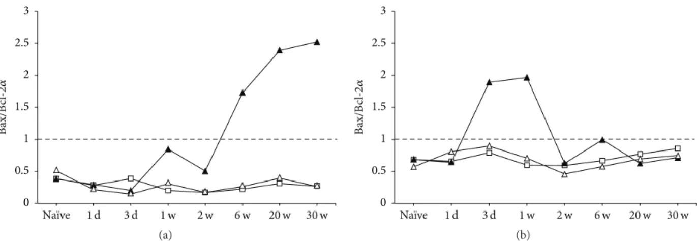 Figure 10: Time course changes of Bax/Bcl-2