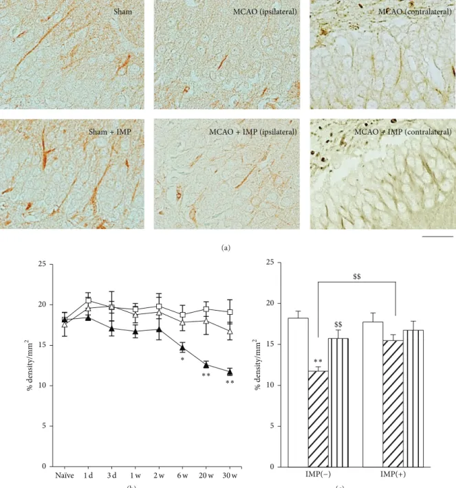 Figure 5: Analysis of 