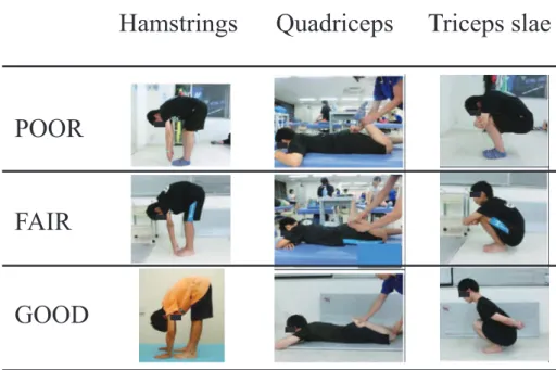 Figure 1 : Evaluation of tightness in the hamstring, quadriceps, and triceps surae muscle groups