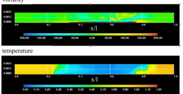 Fig. 4: The distributions of vorticity and temperature in the tube at t = 978.5.