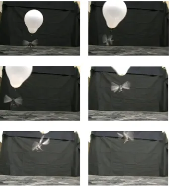 Fig.  9  Relationship  between  aerodynamic  force  and  flapping frequency  ５ .  結�   トンボの飛翔メカニズム解明のため，トンボが発生 する非定常流体力と翅まわりの流れ構造解析の同時計 測を行い，以下の知見を得た．   (1) トンボのまわりの渦構造と流体力との同時計測結果 から，渦と翅の距離が最も近く，渦の直径が翼弦長以 内の強い渦度の場合，発生する力が最大になること がわかった． (2)  トンボの羽ばたきによって翅周