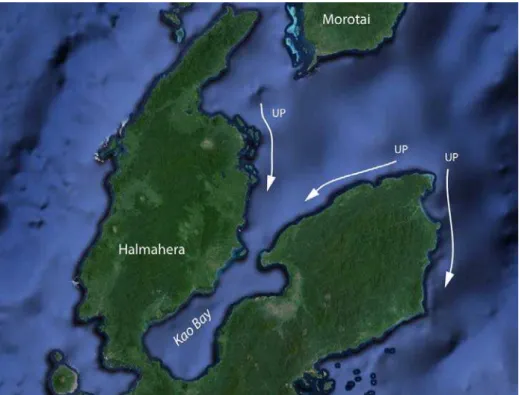 Figure 6. UP direction within Kao Bay and along the northeastern peninsula of  Halmahera 