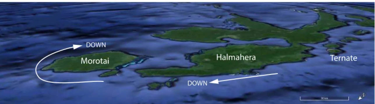 Figure 7. Oblique view of Halmahera and Morotai Islands, looking SE, with the  downward direction indicated 