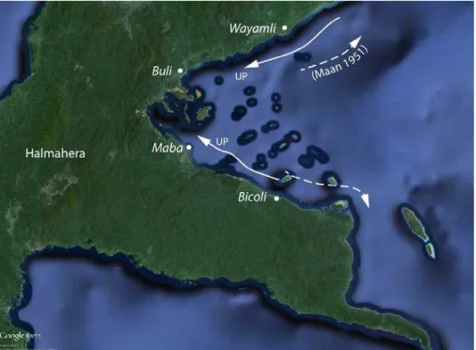 Figure 8. UP direction along the coast of Buli Bay 