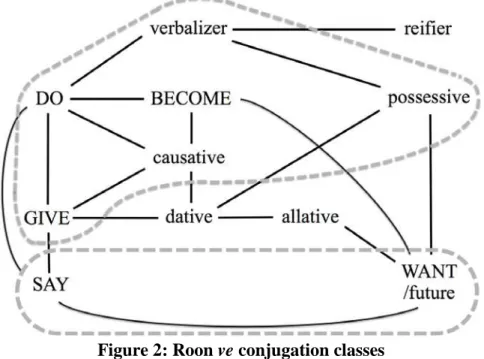 Figure 2: Roon ve conjugation classes 