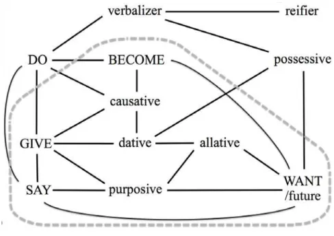 Figure 5: VE-cognates in Ambel 