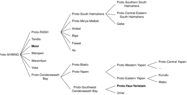 Figure 2. Internal subgrouping of SHWNG languages. Southern Cenderawasih Bay tonal languages are highlighted in bold.