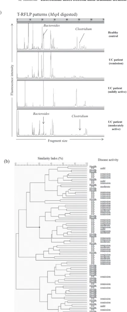 Figure 3. Comparison of intestinal microbiota between healthy adults and patients with ulcerative colitis