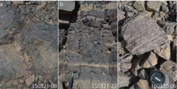 Fig. 3 Outcrops of iron formations in El Dabbah Formation, Egypt. a) Magnetite-rich iron formation on the greenish  shale (150321-08) at section 2