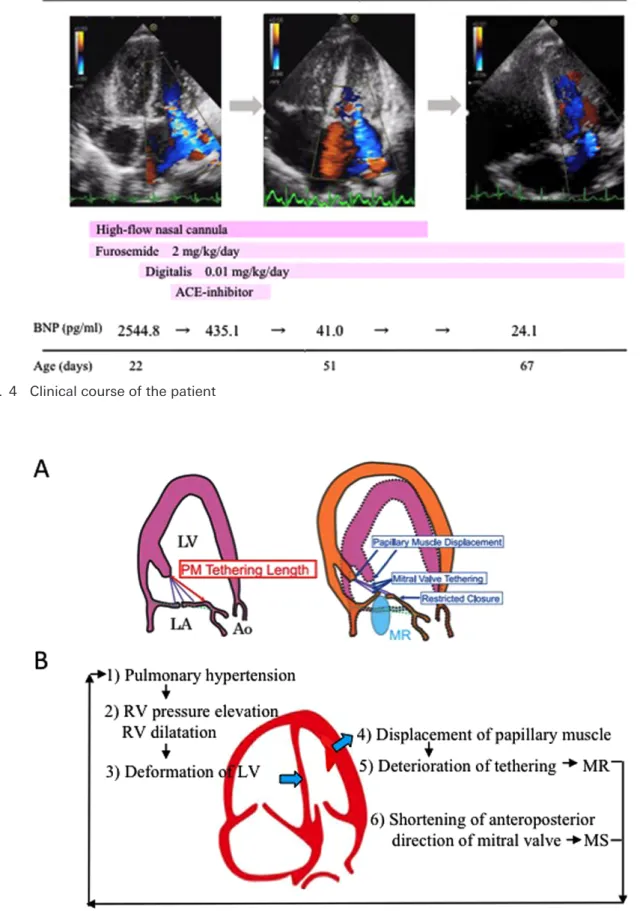 Fig.   4   Clinical course of the patient