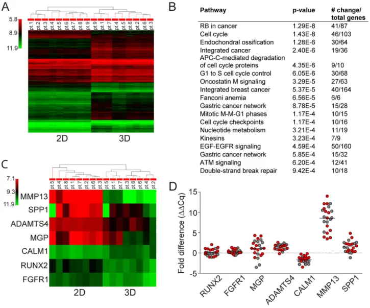 Figure 4: Gene expression analysis in 3D vs 2D MSC models. A. Unsupervised gene expression analysis using GeneSpring  software of MSC obtained from SMM (N=5) and ND (N=4) MM patients after 5 days of culture in 3D vs 2D models