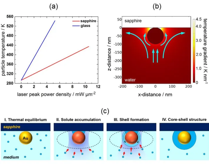 Figure 6. (a) Calculated particle temperature as a function of applied laser peak power density for a  100-nm-AuNP supported on sapphire (red line) and glass (blue line) substrates submerged in water