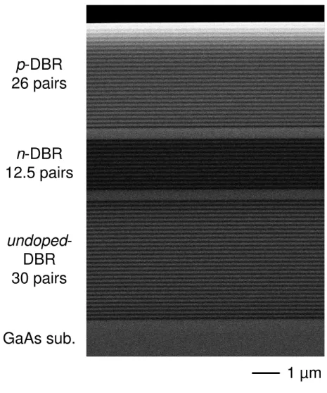 Figure 1: Cross-sectional SEM of the GaAs-based coupled multilayer cavity structure grown by MBE.