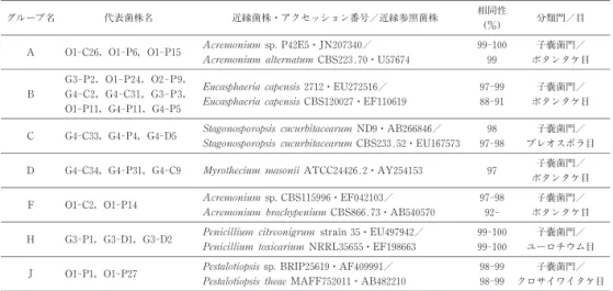 表 2 霧島神宮の胡粉および黄土試料から分離した糸状菌の分類学的性質