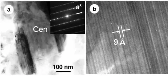 Figure 5. (a) TEM image of a low-Ca pyroxene (clino-enstatite: Cen) grain in the 3A sample