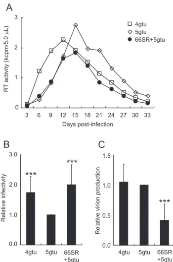 Figure 6 Replication properties of various HIV - 1rmt clones. (A) Multi - -cycle replication kinetics in rhesus lymphocyte M1.3S cells