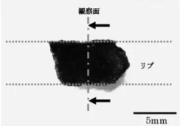 図 7 断面観察位置と反射電子組成像