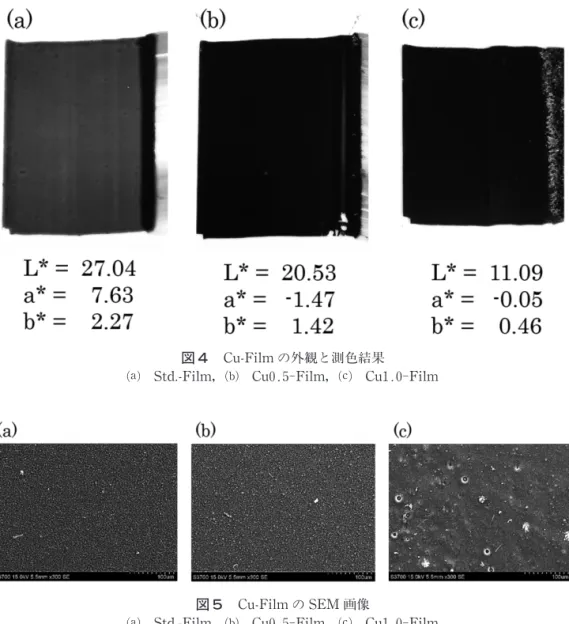 図 5   Cu-Film の SEM 画像