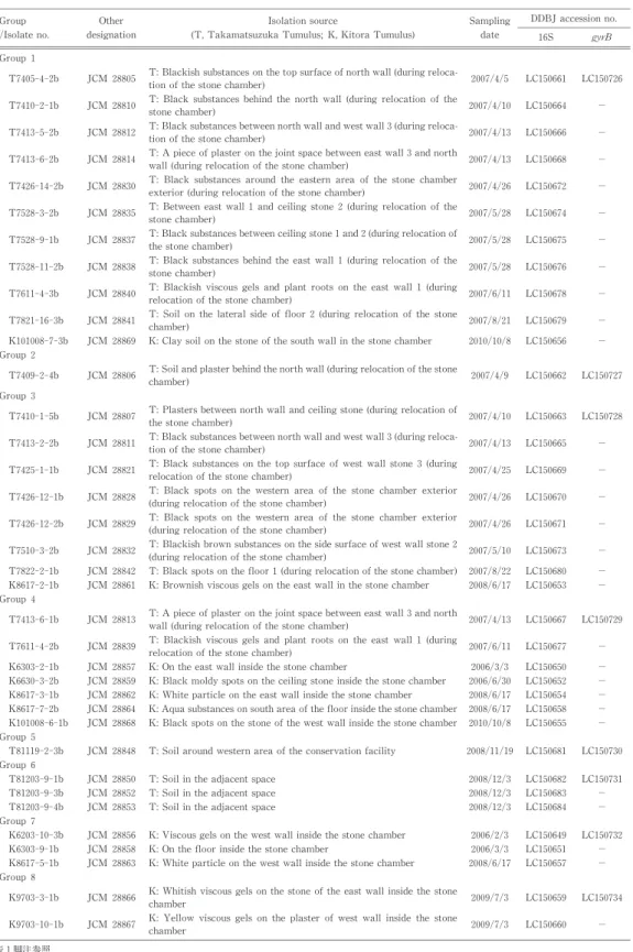 表 2 . 高松塚・キトラ両古墳から分離された Bacillus simplex group分離株 Group / Isolate no. Other designation    Isolation source (T, Takamatsuzuka Tumulus; K, Kitora Tumulus) Samplingdate    DDBJ accession no