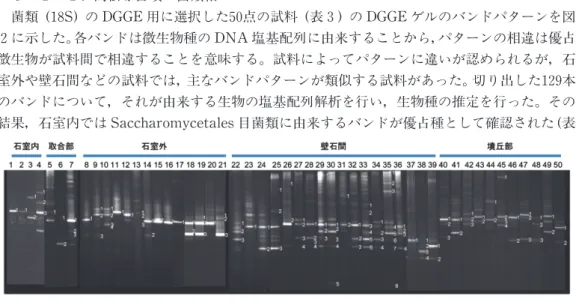 図 2 高松塚古墳試料の18 S rRNA遺伝子増幅産物による DGGE バンドパターン