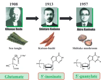 Fig. 1 Discovery of major three umami taste substances The amino acid L - glutamate is the major umami taste component in Konbu (Japanese sea kelp)