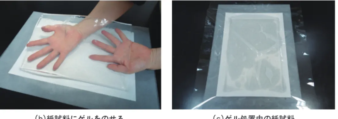 図 1 紙試料にジェランガムゲルによる湿り処置を施す様子(a)ゲルによる湿り処置中の紙試料の模式図