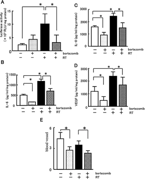 Figure 5. Effects of bortezomib on NF- κ B activity, the expression of IL-6, IL-8 and VEGF protein and angiogenesis of tumor tissue