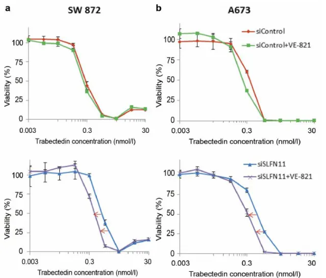 Figure 6. ATR inhibitor enhanced the antitumor activity of trabectedin in SLFN11-knockdown sarcoma cells in vitro