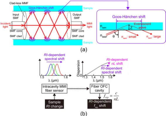 Fig. 1. Principle of operation. (a) Schematic diagram of the MMI fiber sensor. An inset of Fig