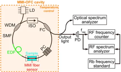 Fig. 2. Experimental setup. See Materials and methods for details. 