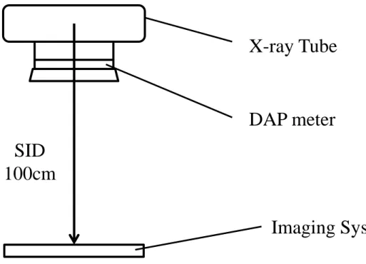 Figure 2: Geometry scheme for the observation image. Only the  small electrode of the DAP meter is included in the image; 