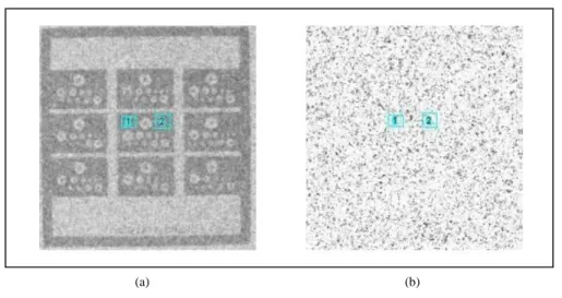 Figure 3. Two regions of interest on the static image: (a) For signal data; (b) For noise data