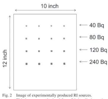 Fig. 2  Image of experimentally produced RI sources.