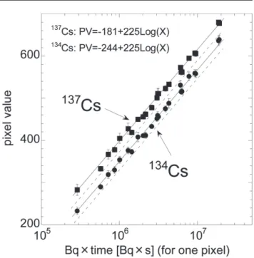 Fig. 4  Relationship between the pixel value and the product of  activities (Bq) and irradiation times (s) for one pixel.