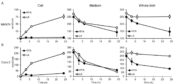 Fig. 7      Time-dependent change in the amounts of HFAs  supplemented to GI tract-derived 