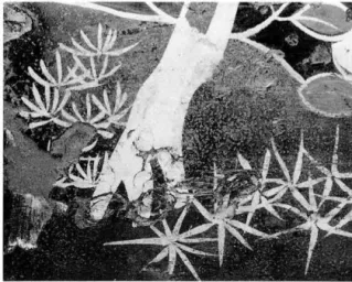 図 144 蛍光 X 線分析による浦絵紛の乱';j杏