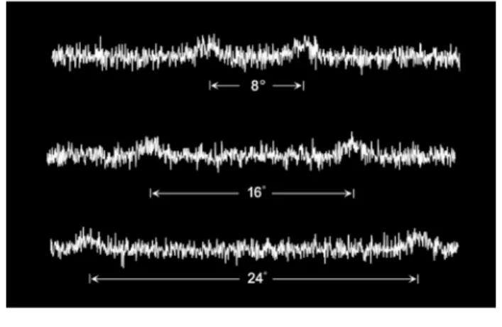 Fig.  1   Simulated double-peaked “black  hole” pattern signal  with the noise.  Visual angles of 8°, 16° and 24° were  presented to participants
